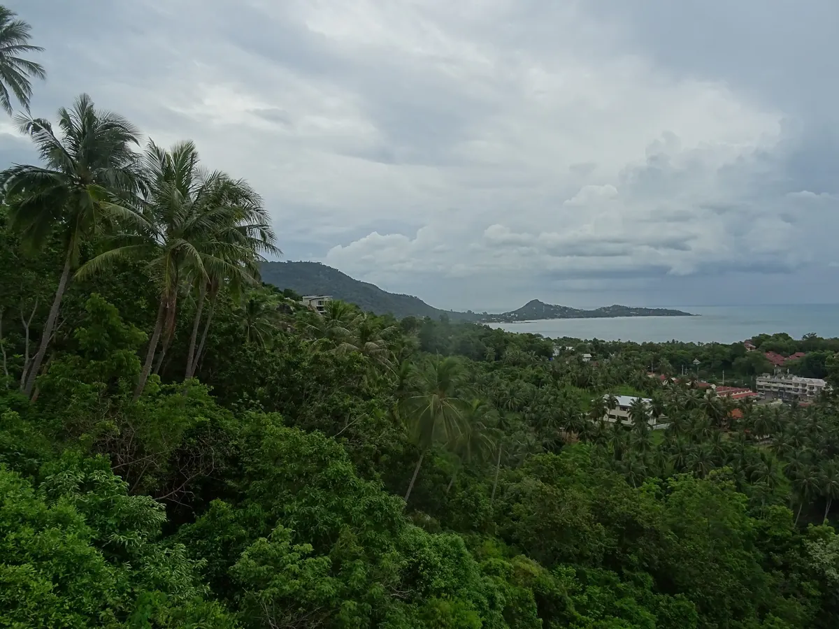 Lamai Viewpoint