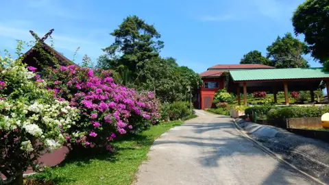 Paradise Park Farm